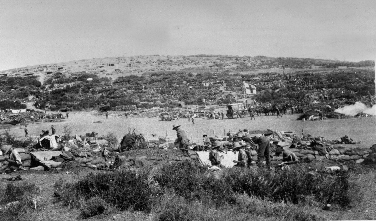 Suvla Bay, Gallipoli vid Chocolate Hill, ca 1915 av English Photographer