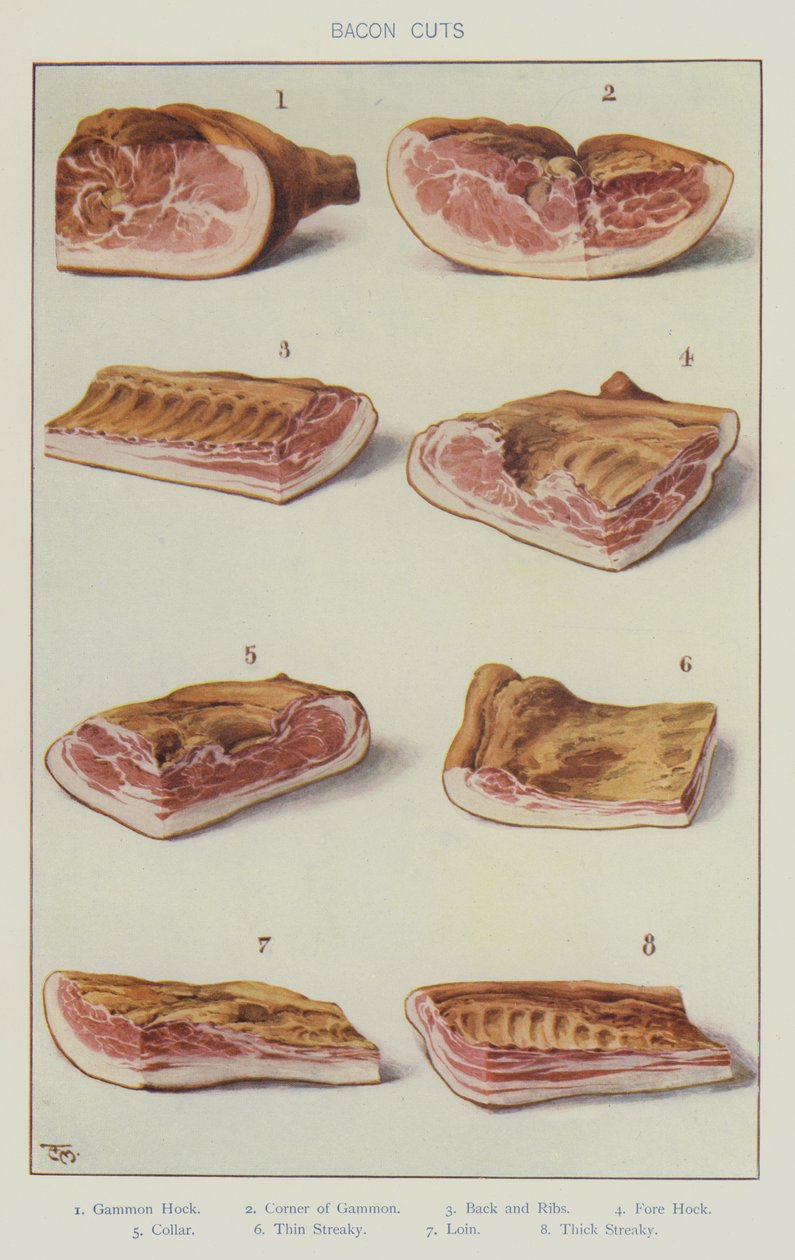 Baconsnitt (färg litho) av English School