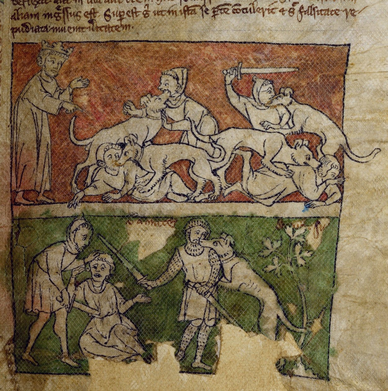 CCA-LitMs/D/10 fol. 6r Dog, från Bestiary av English School