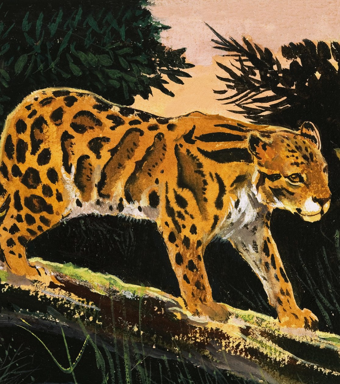 Molnig leopard av English School