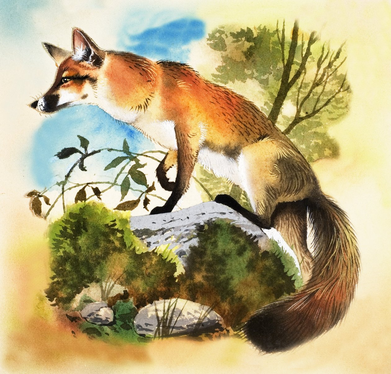 Fox av English School