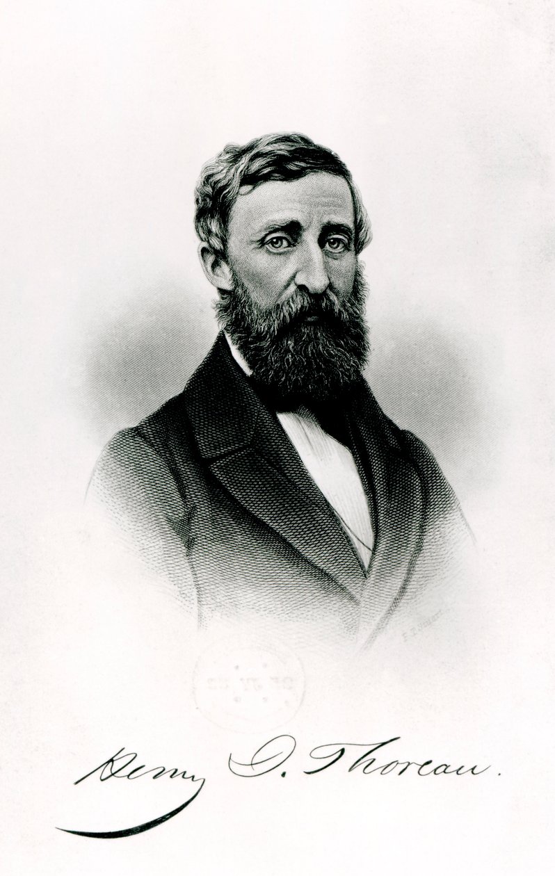 Henry David Thoreau (1817-62) av English School