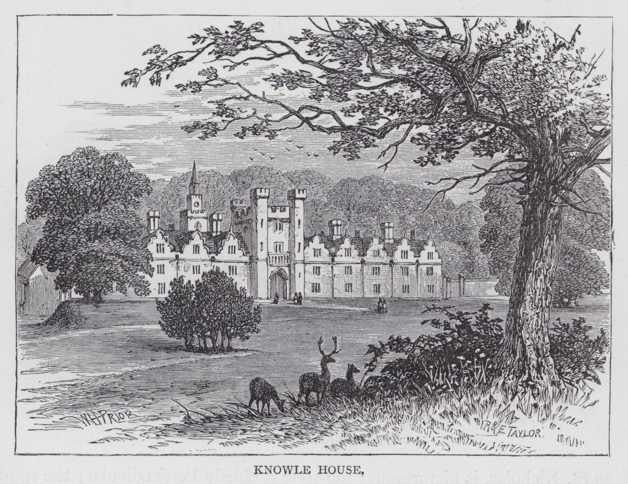 Knowle House (gravyr) av English School