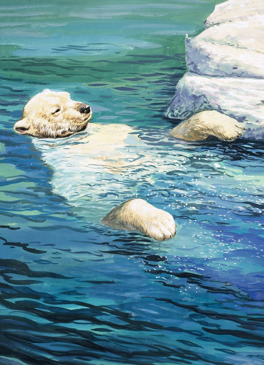 Lekfull isbjörn, illustration från "Nature