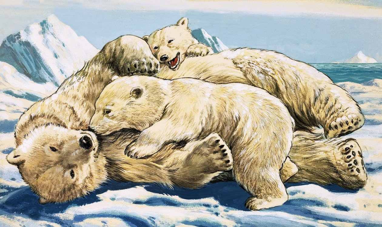 Isbjörn och ungar (gouache på papper) av English School