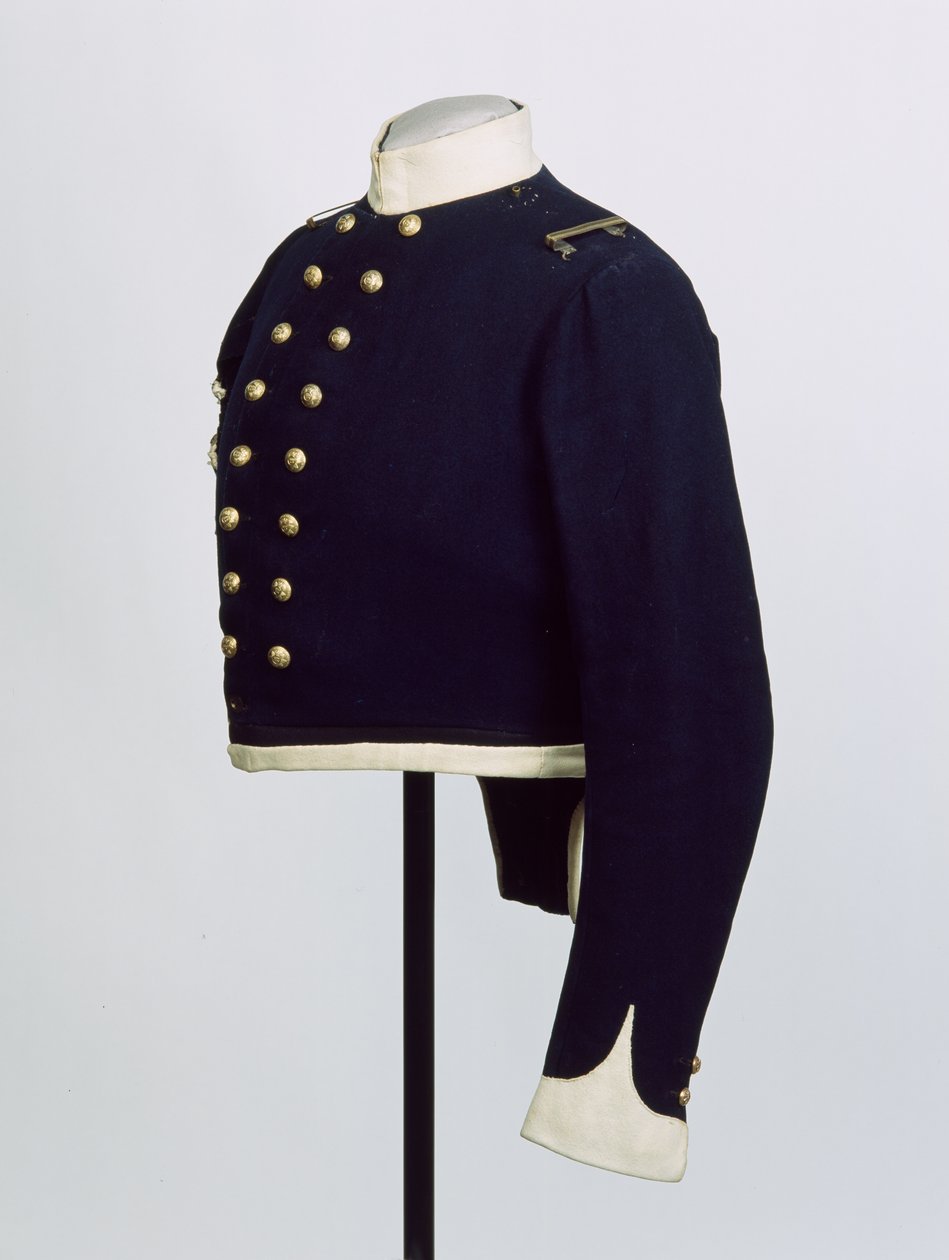 Kortstjärtad coatee, c.1854 av English School