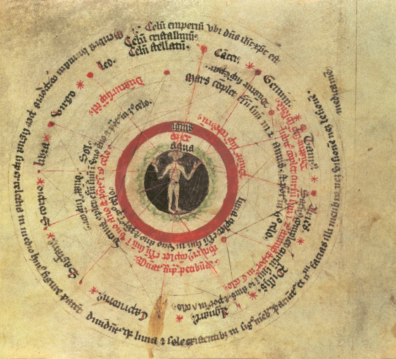 Sloane MS 282 fol.18 Mikrokosmisk människa (vellum) av English School