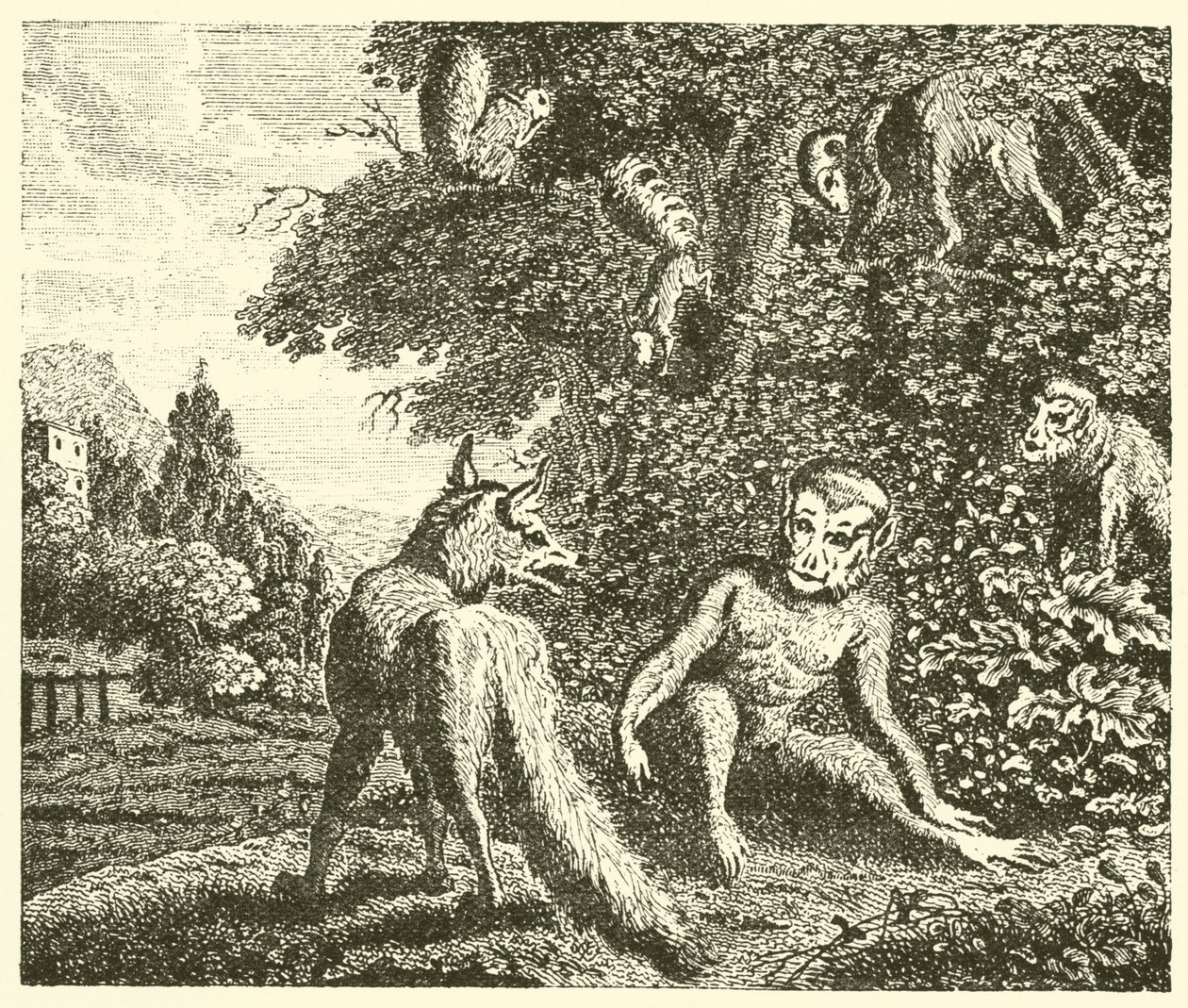 Apan och räven (gravyr) av English School