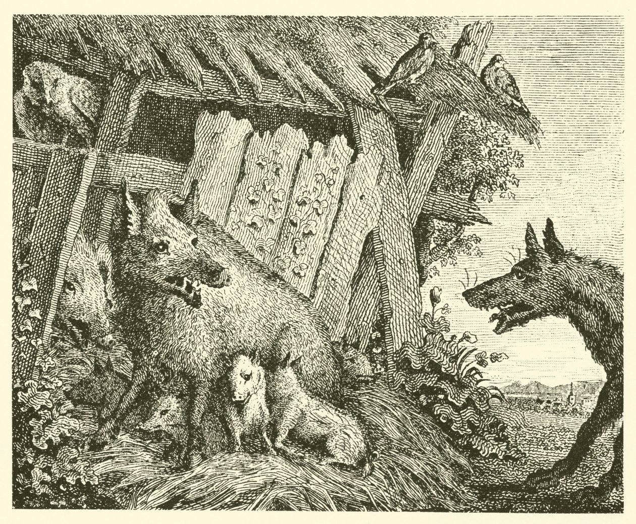 Suggan och vargen (gravyr) av English School