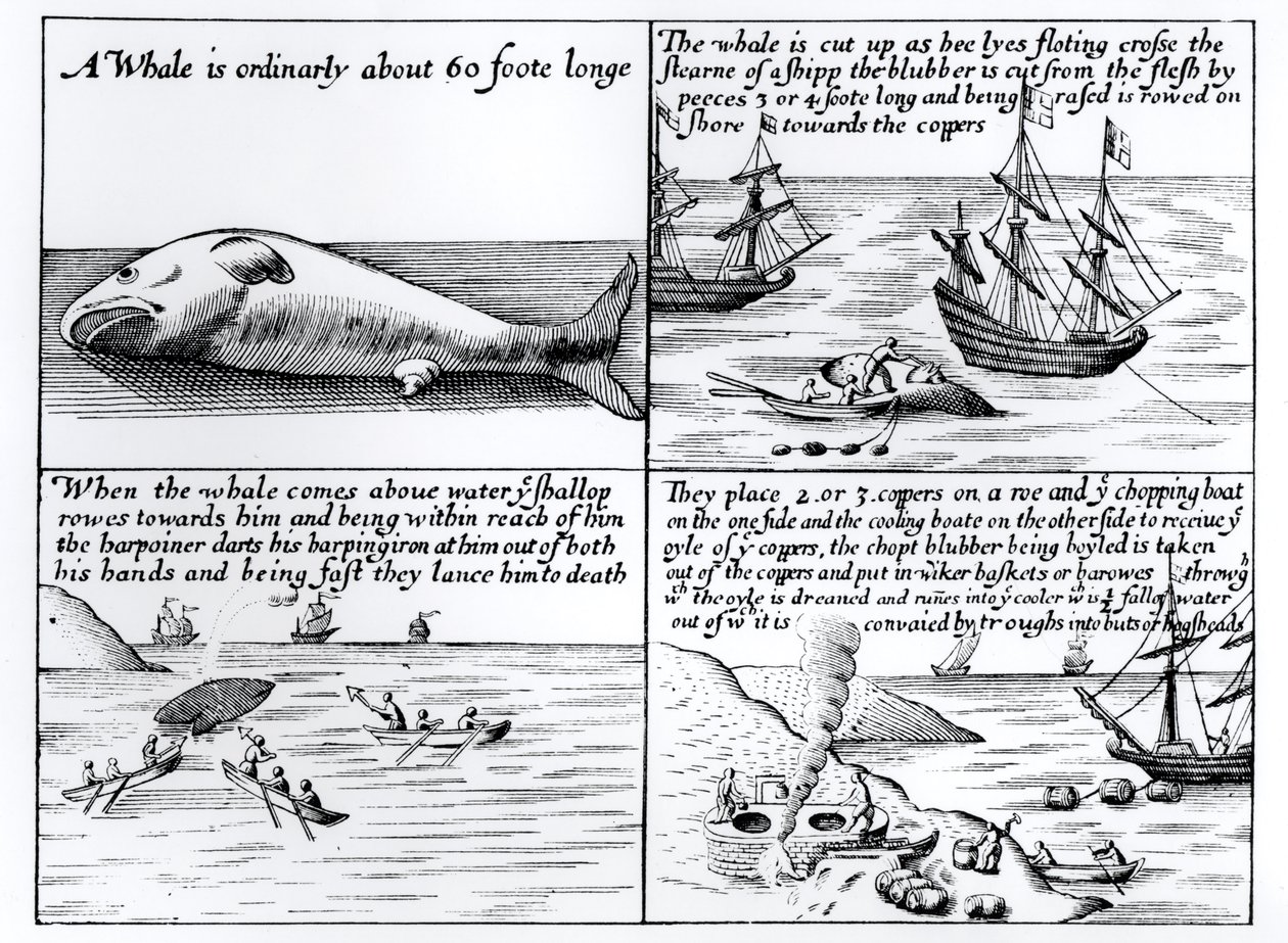Valfångst vid Spetsbergen 1611 av English School