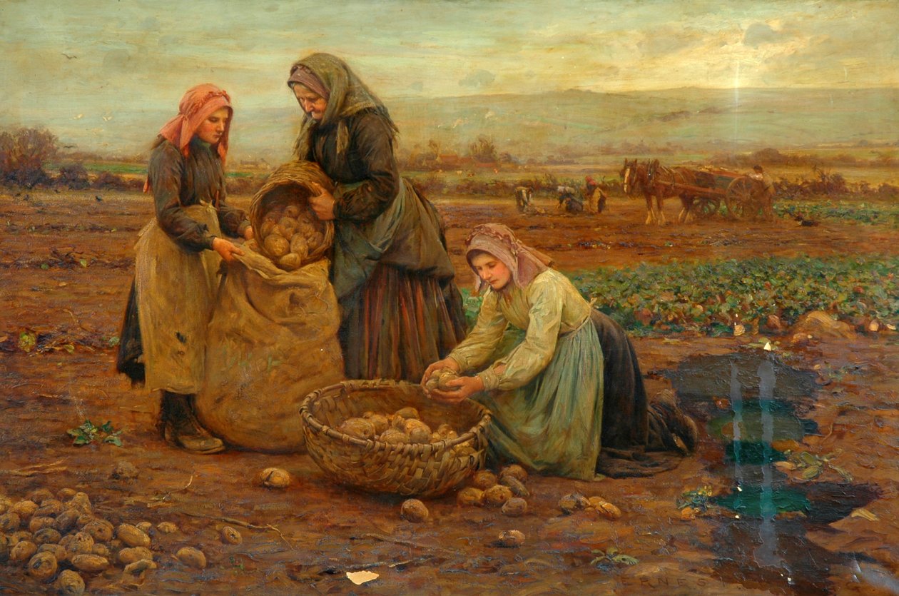 Potatisplockarna (olja på duk) av Ernest Higgins Rigg