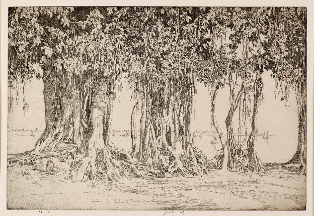 Banyanträdet av Ernest Stephen Lumsden