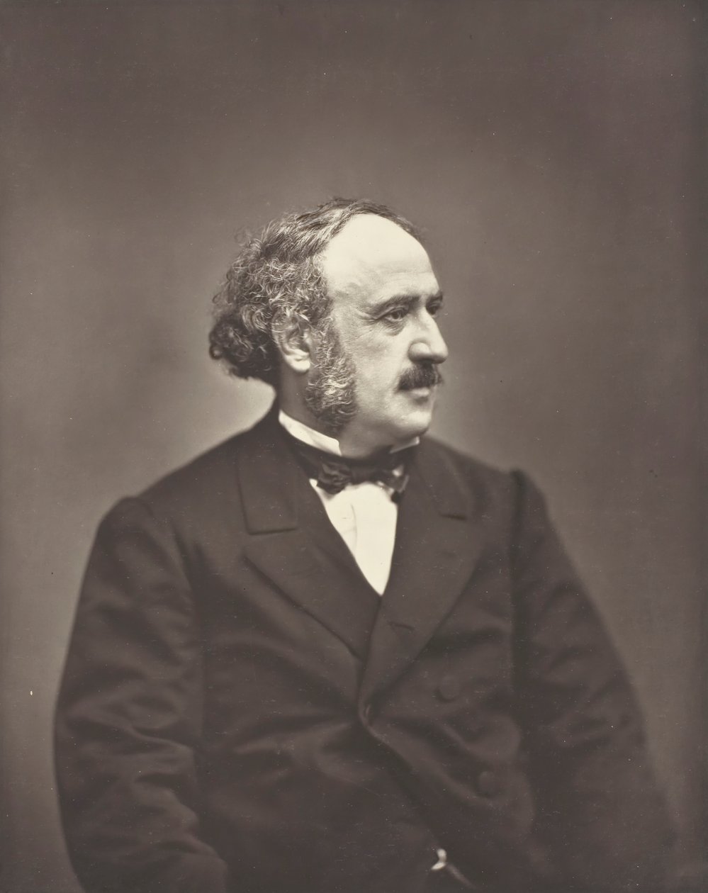 Jules Simon, ca. 1876. av Etienne Carjat