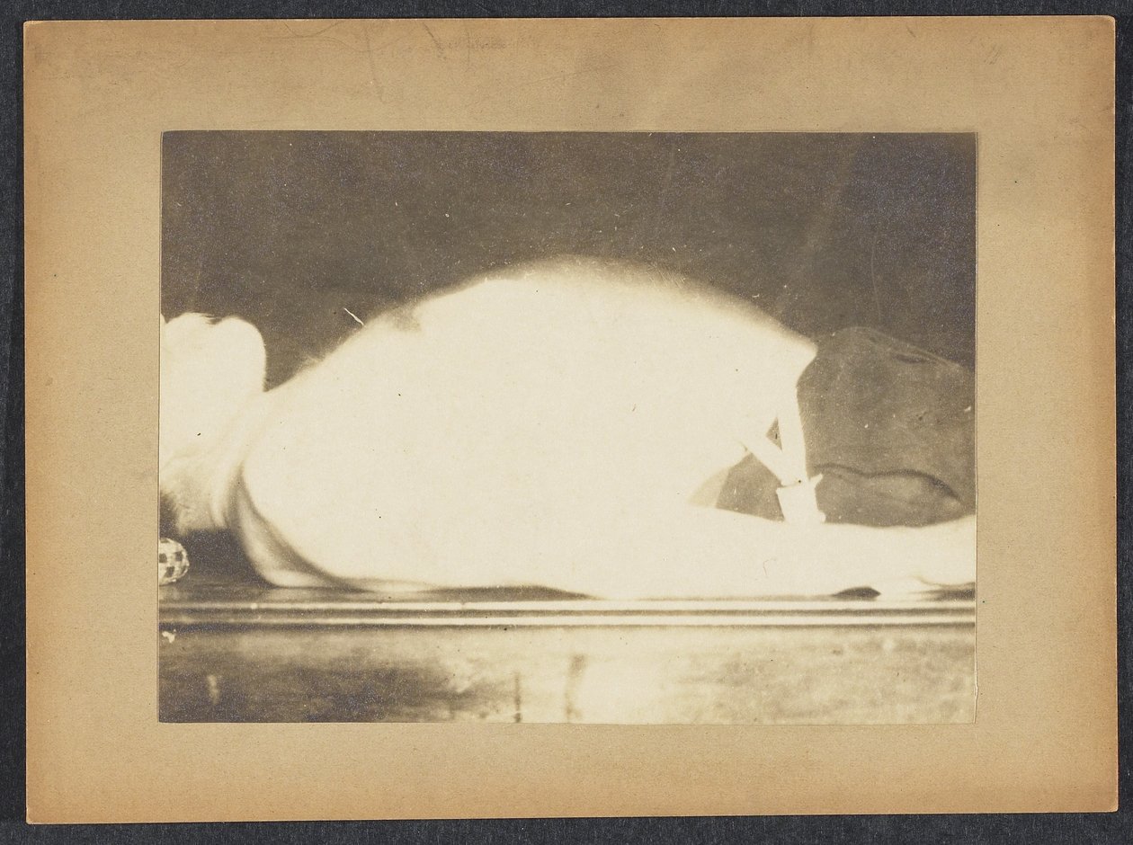 Marey i en studie av andning av Etienne Jules Marey