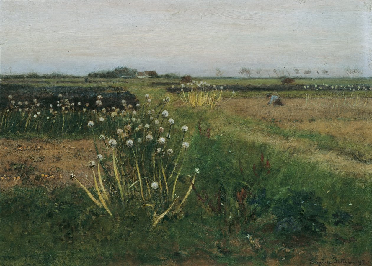 Blommande lökfält av Eugen Jettel