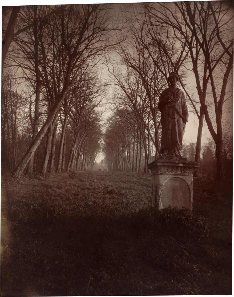 Parc de Sceaux,1925 (foto) av Eugène Atget