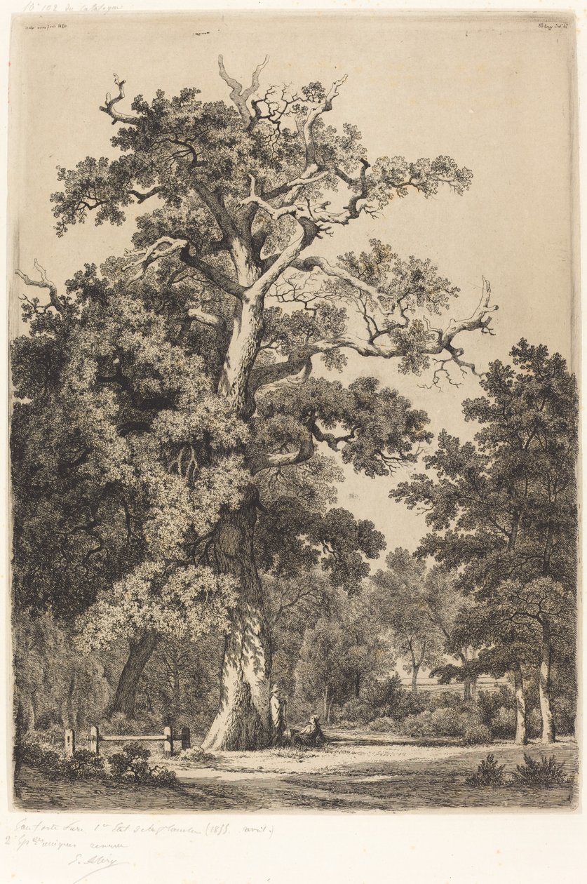 Forntida ek i Bois de Boulogne av Eugene Bléry