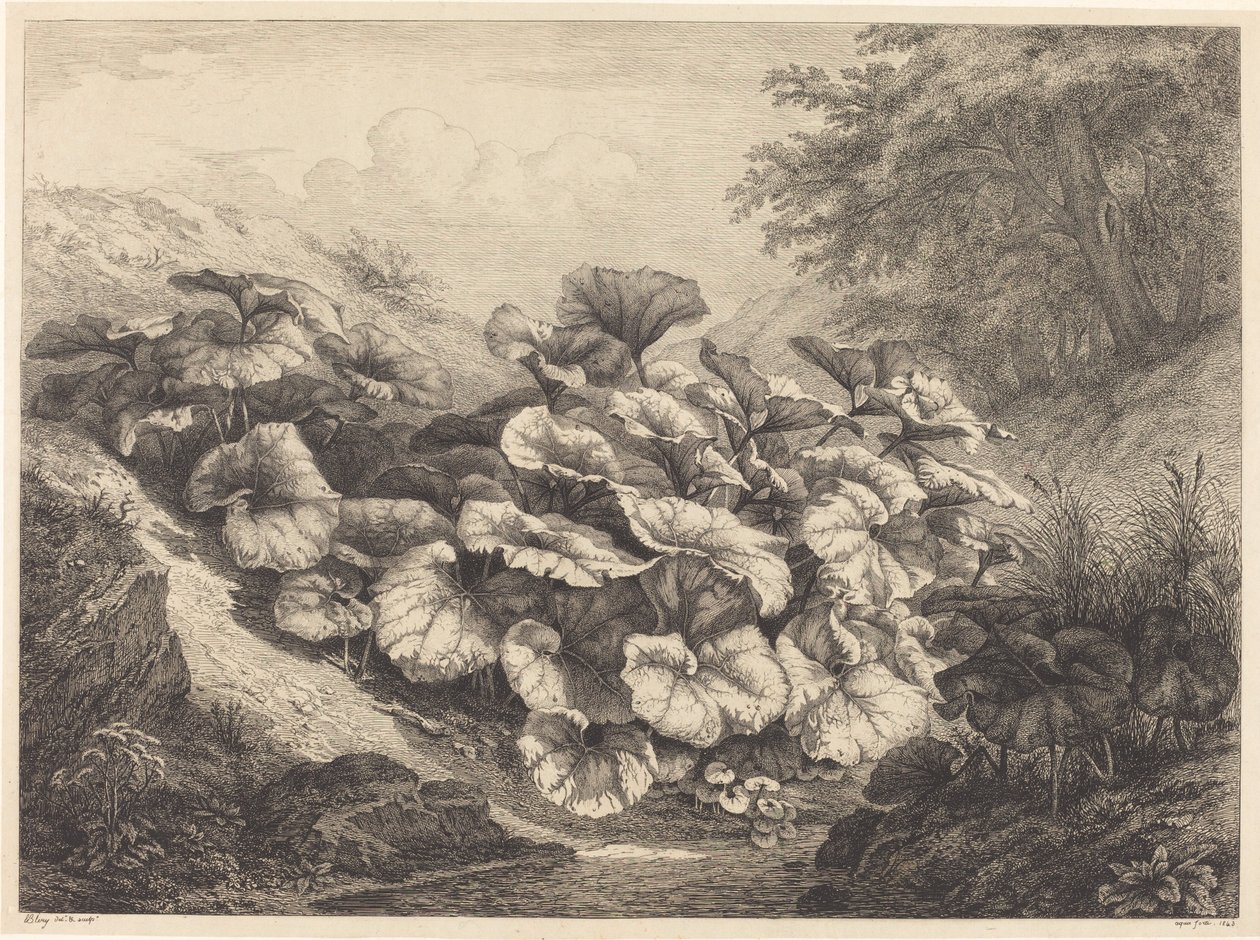 Stor hölfot, 1843. av Eugene Bléry