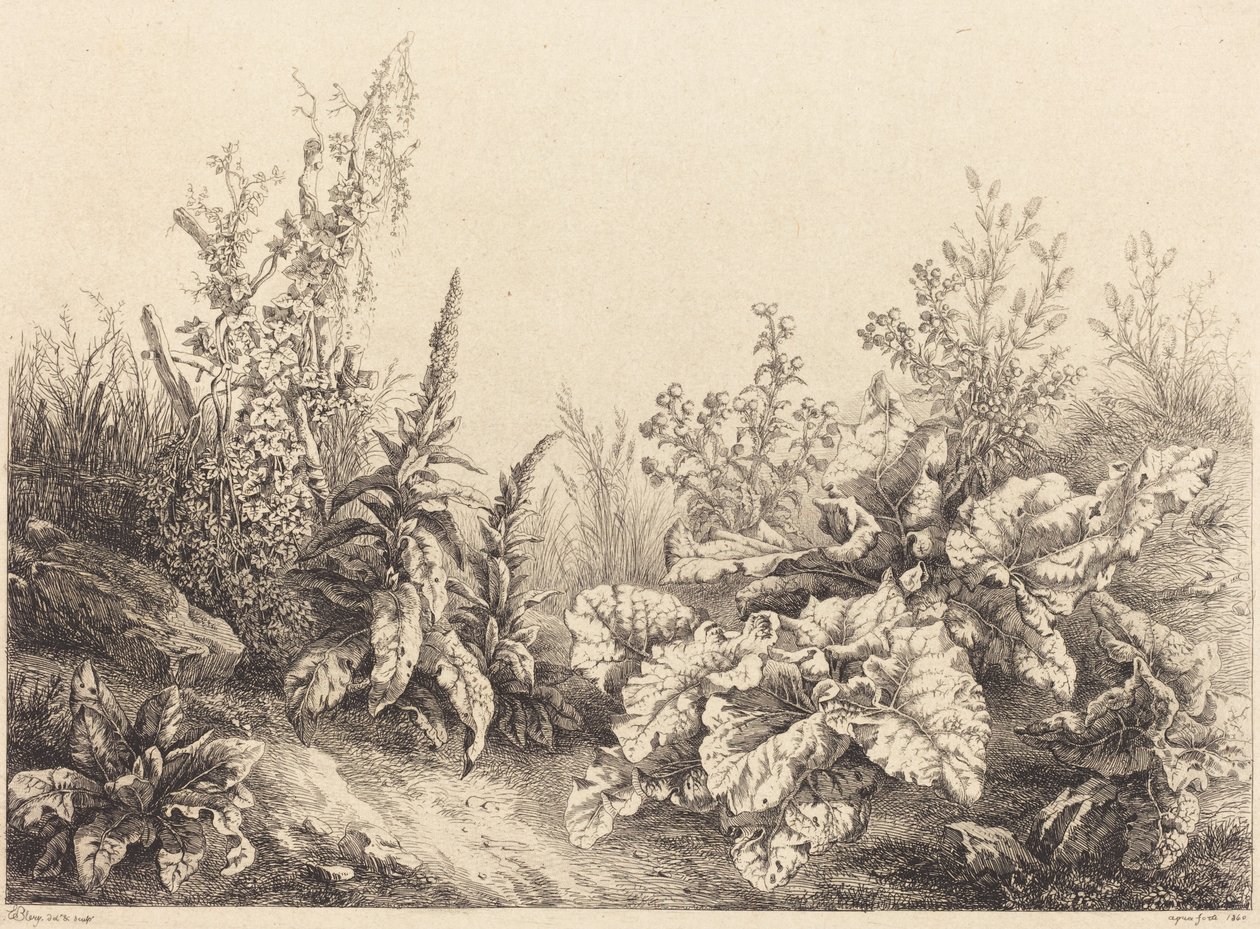 Studie av en kardborre, 1840. av Eugene Bléry