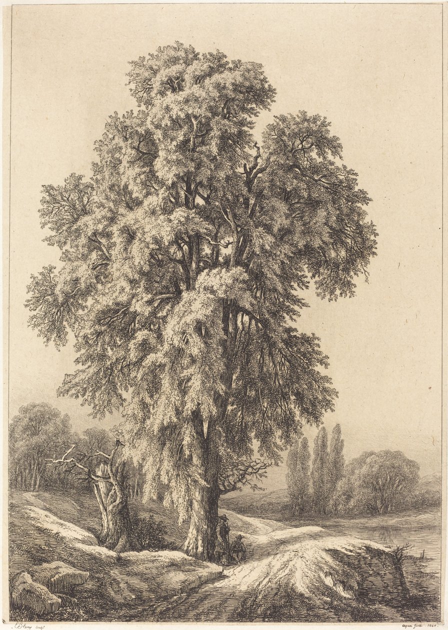 almträdet, 1840. av Eugene Bléry