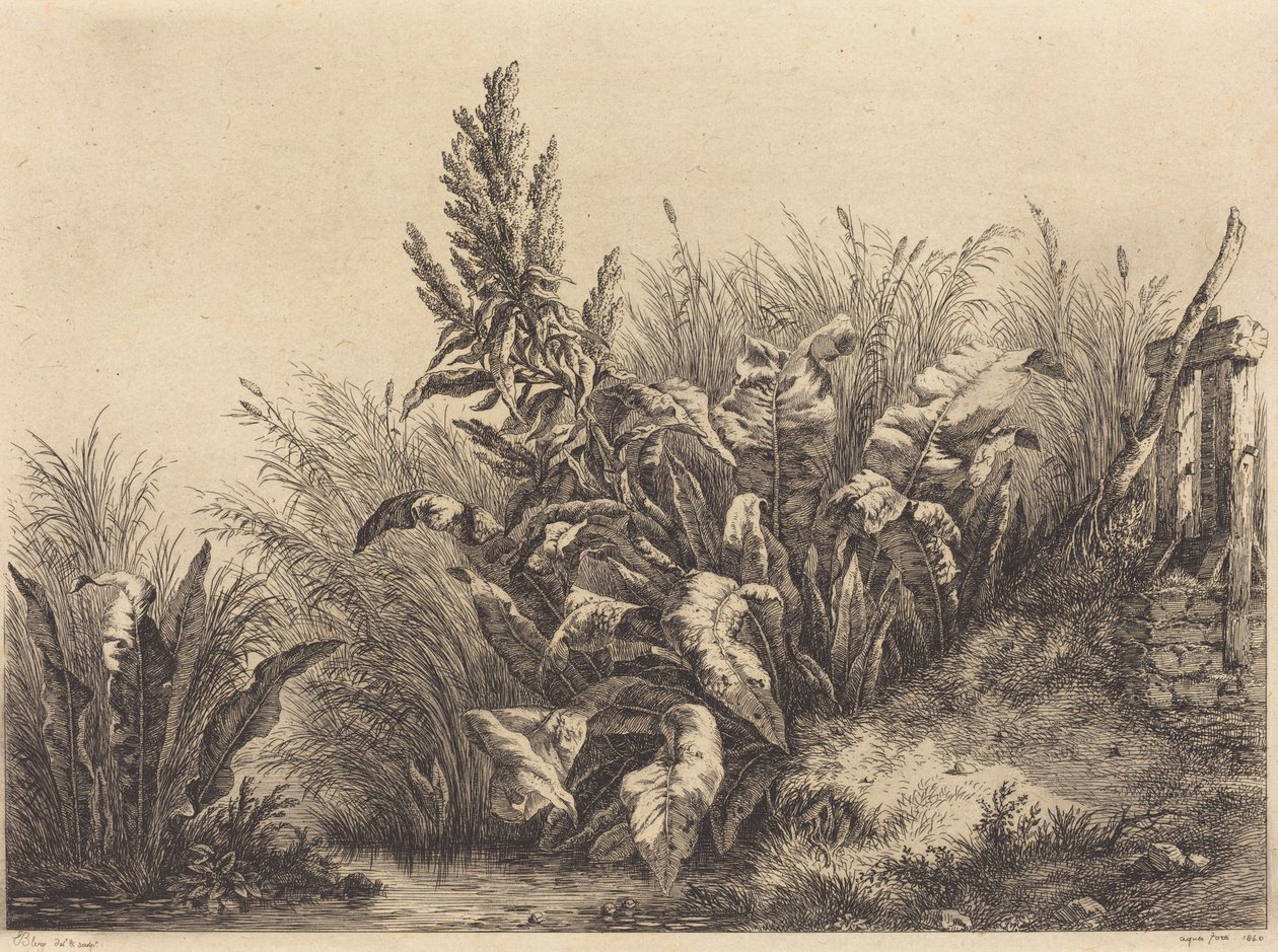 Vatten Dock av Eugene Bléry