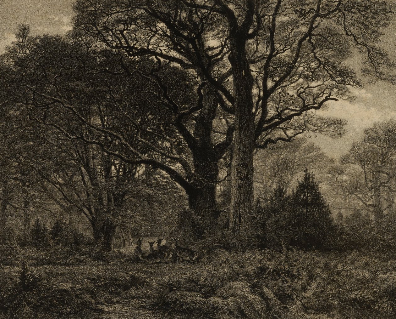 Fontainbleaus skog av Eugene Leroux