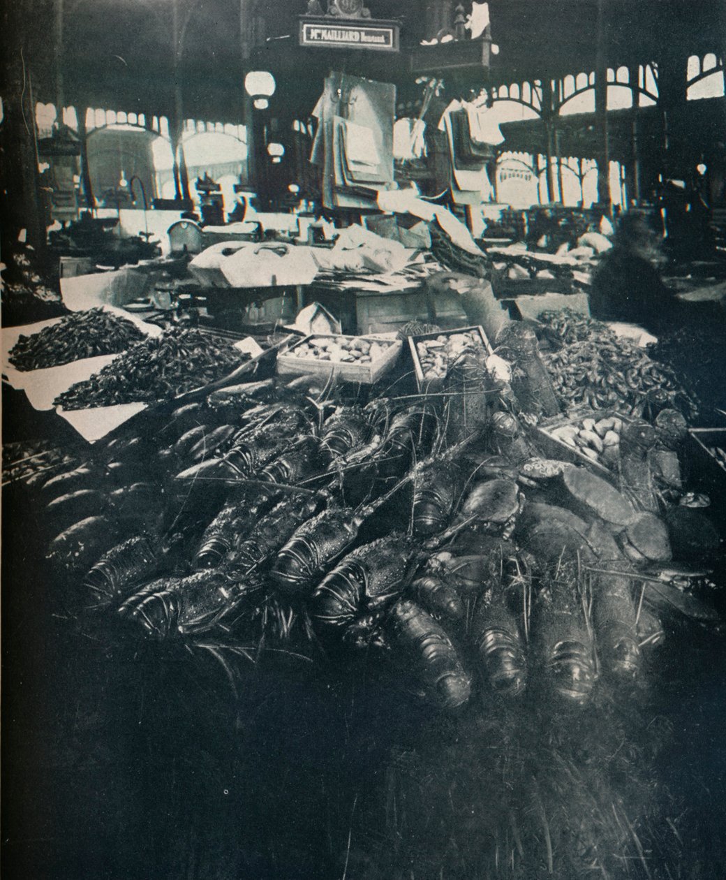 Fiskmarknad, c1877-1927, 1929 av Eugène Atget