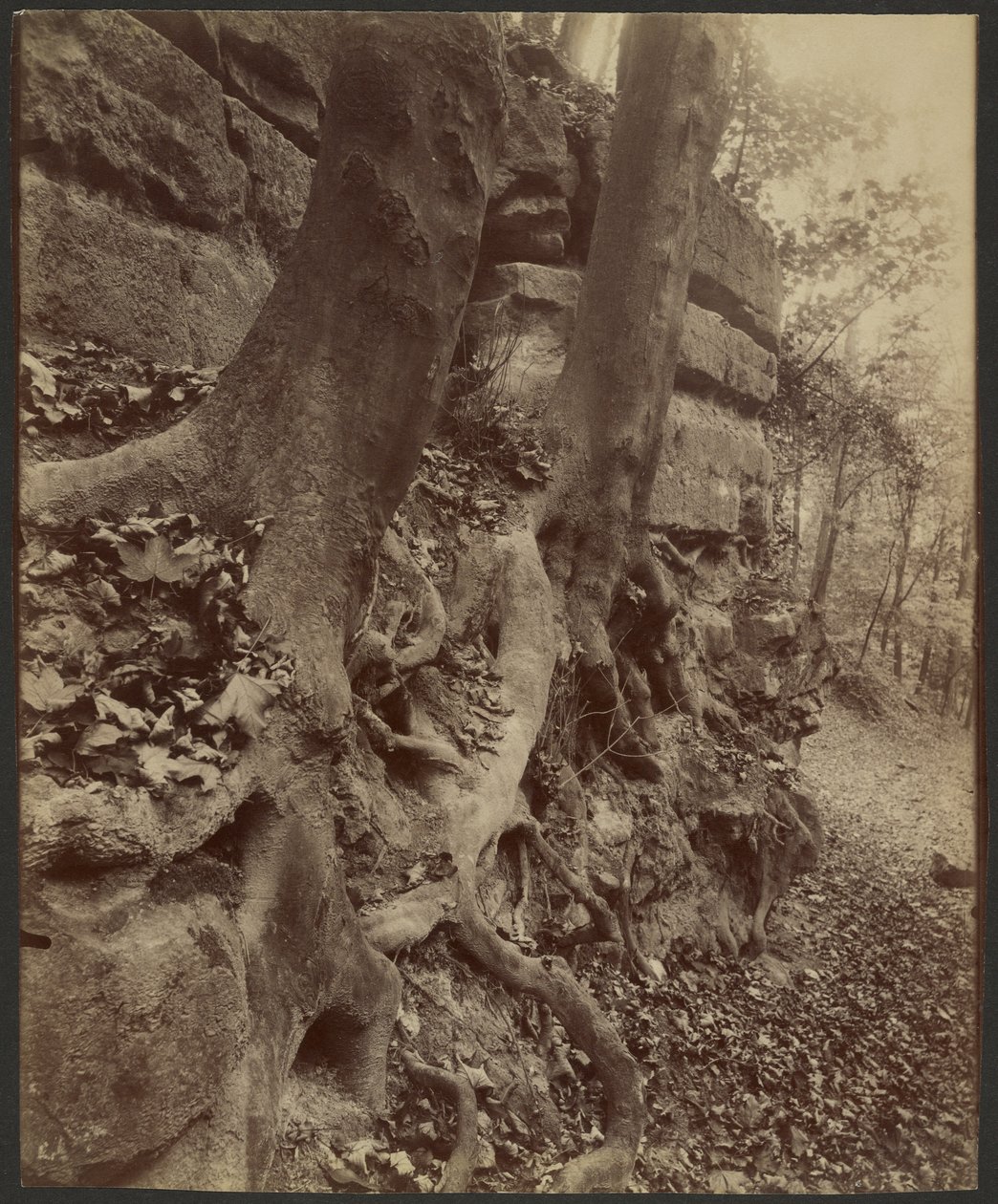 Saint-Cloud Park av Eugène Atget