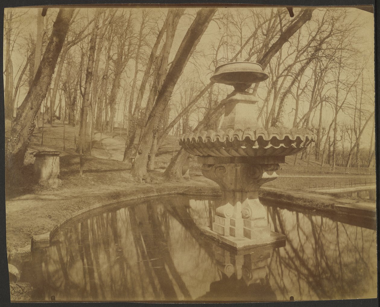 Parc de Saint Cloud (Saint Cloud-parken) av Eugène Atget