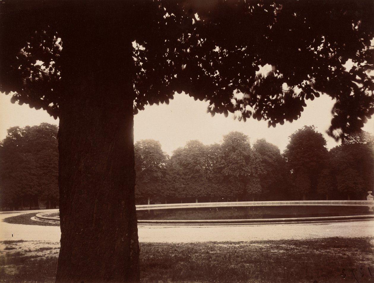 Saint-Cloud,1926 (foto) av Eugène Atget