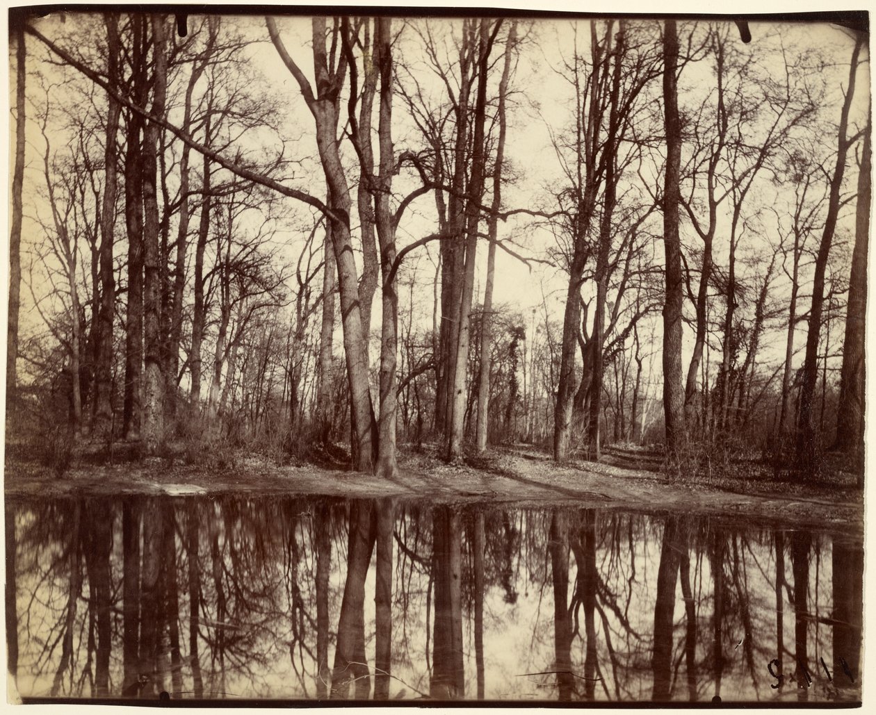 Saint-Cloud av Eugène Atget