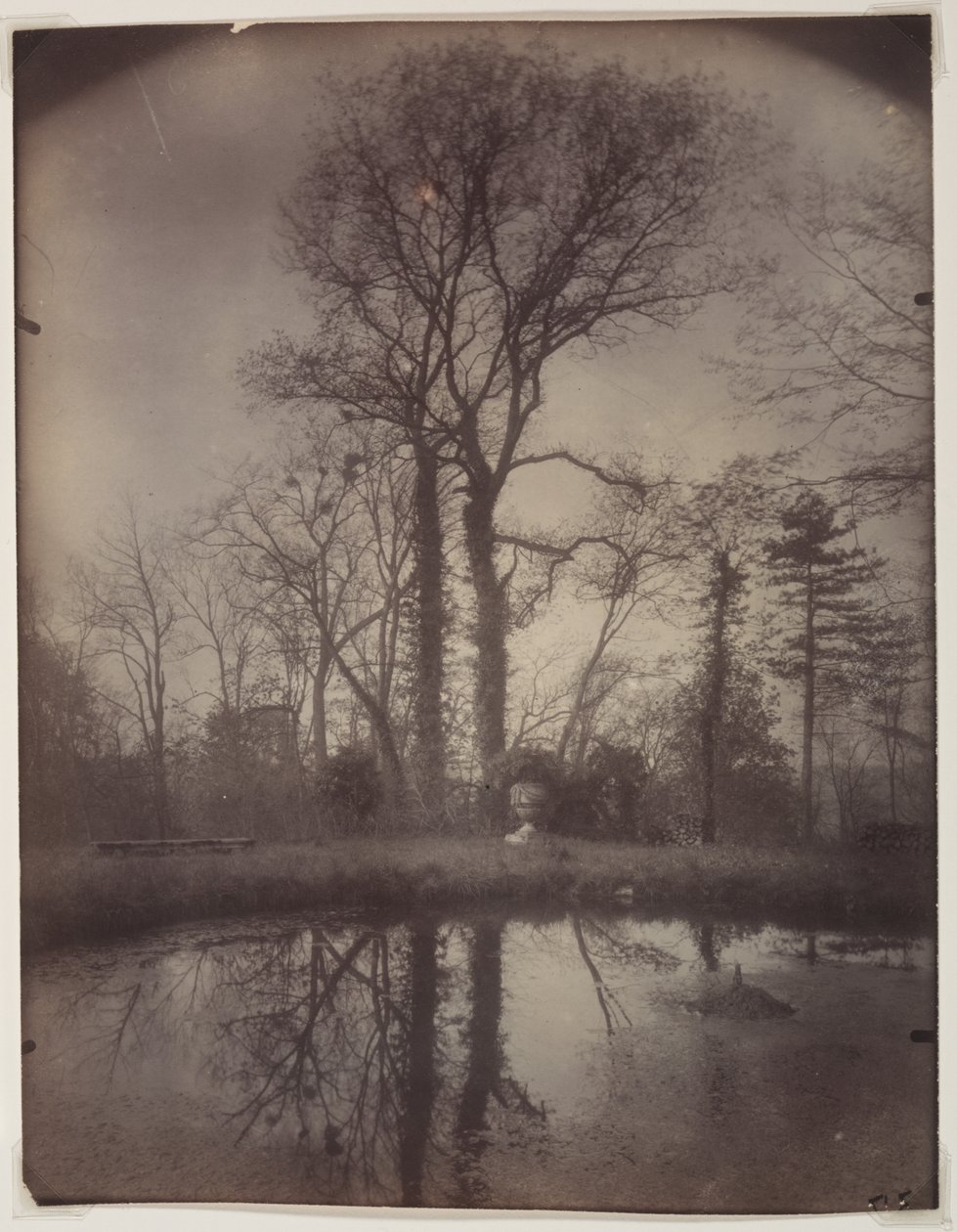 Parken i Sceaux [april 1925, kl. 07.00] av Eugène Atget