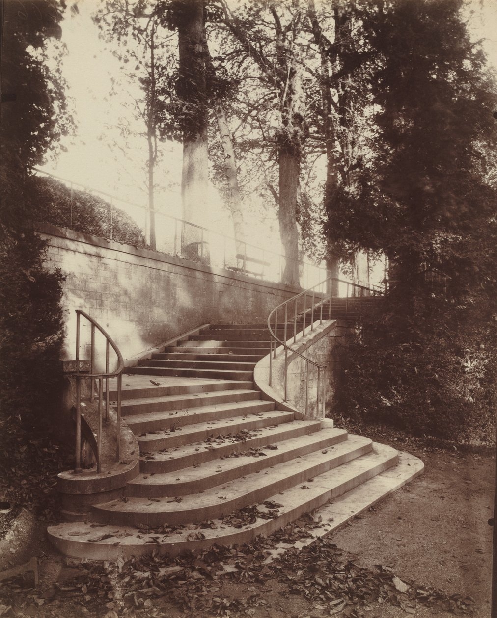 Stegen i Saint-Cloud av Eugène Atget