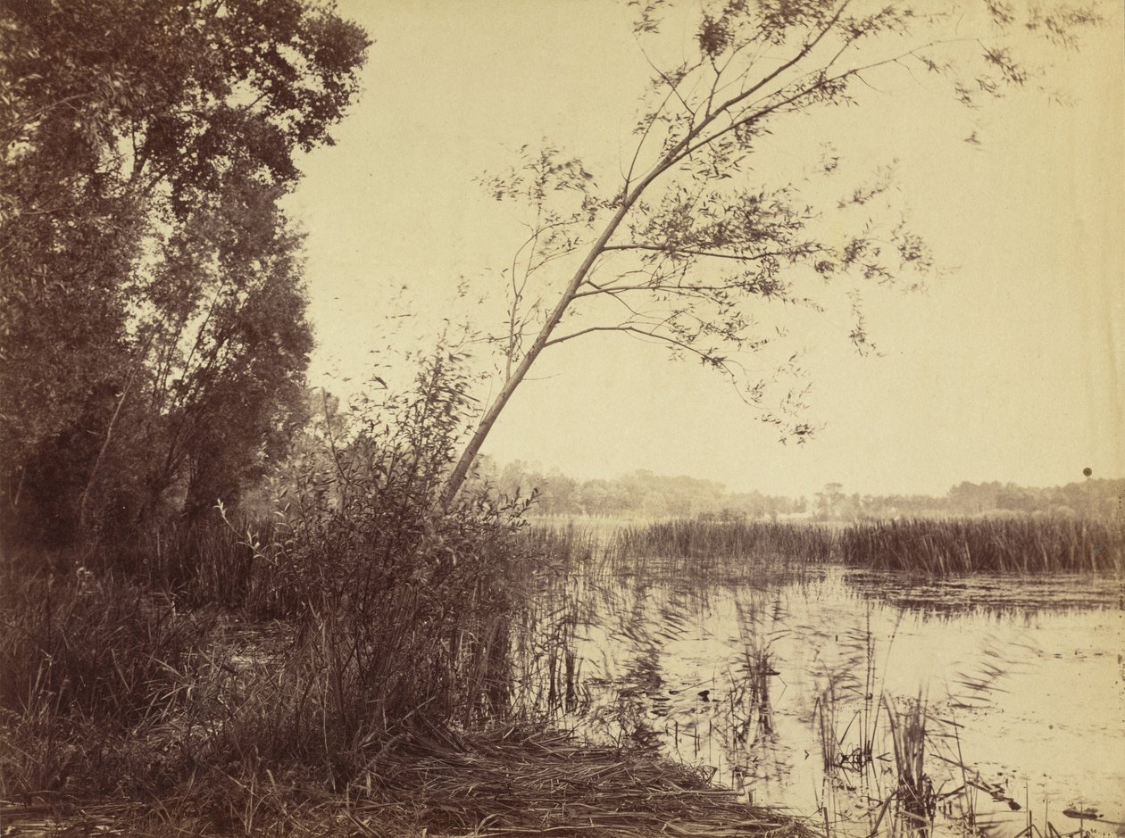 Marais de Fampoux, tidigt 1860-tal. av Eugène Cuvelier