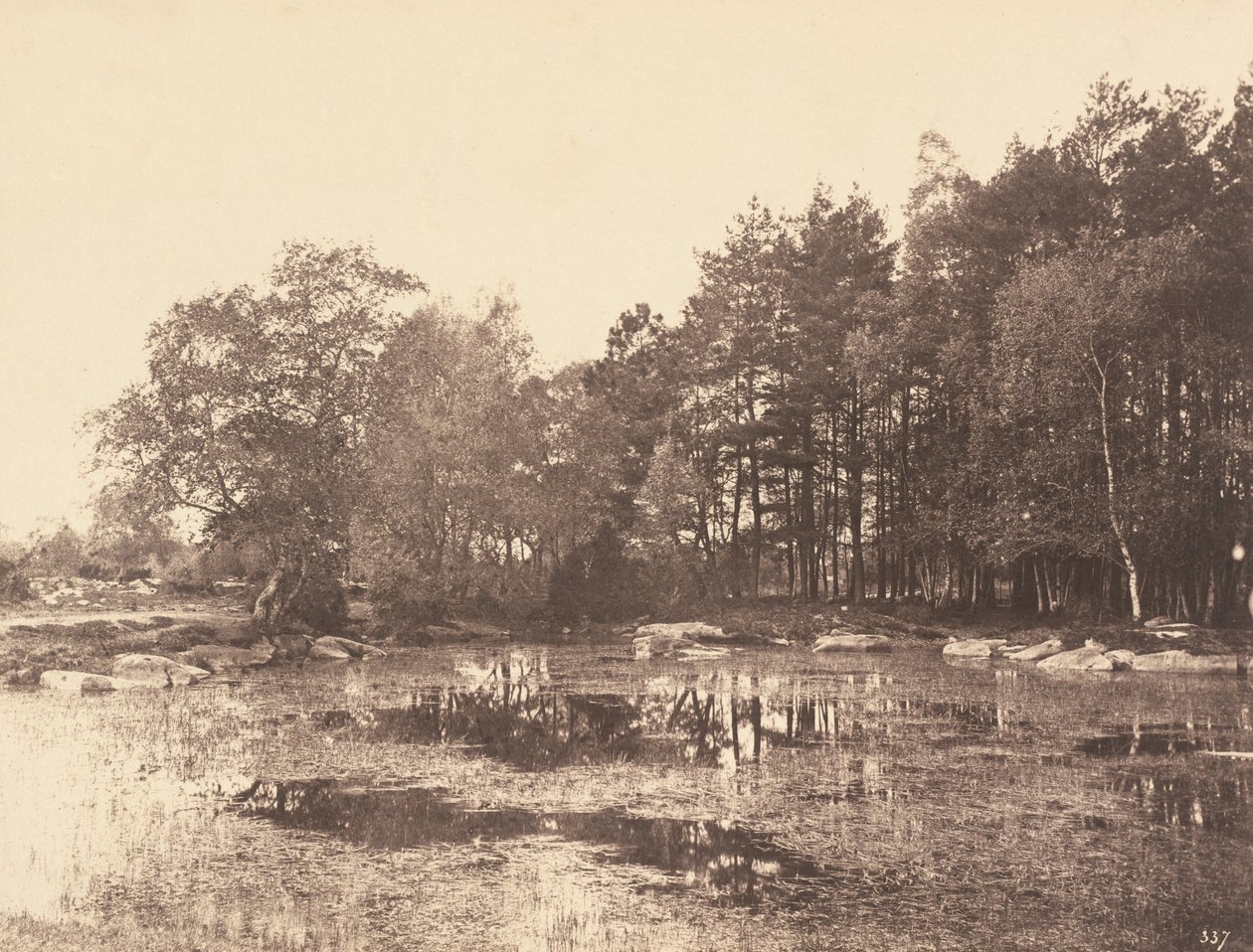 Marsh vid Piat Belle-Croix Plateau, ca. 1863. av Eugène Cuvelier