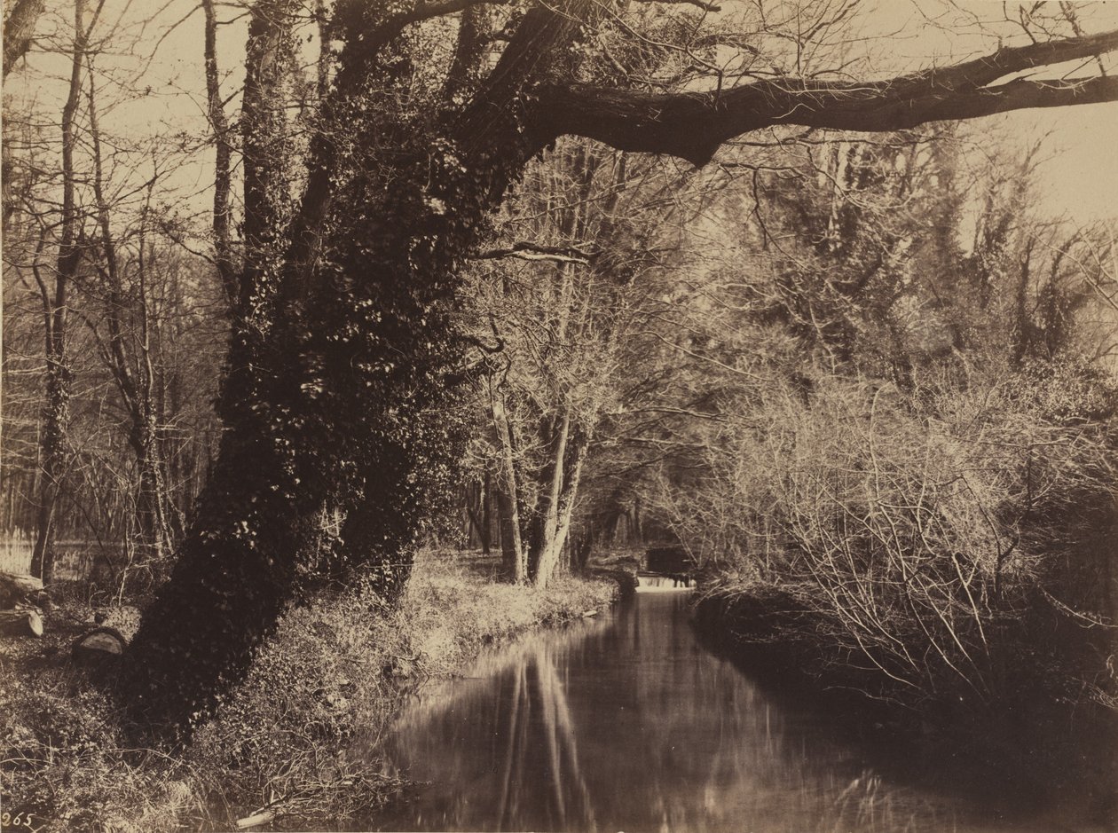 Courances Park, sent 1850-tal. av Eugène Cuvelier
