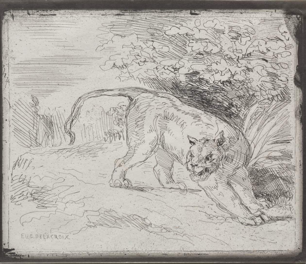 En instängd tiger av Eugène Delacroix