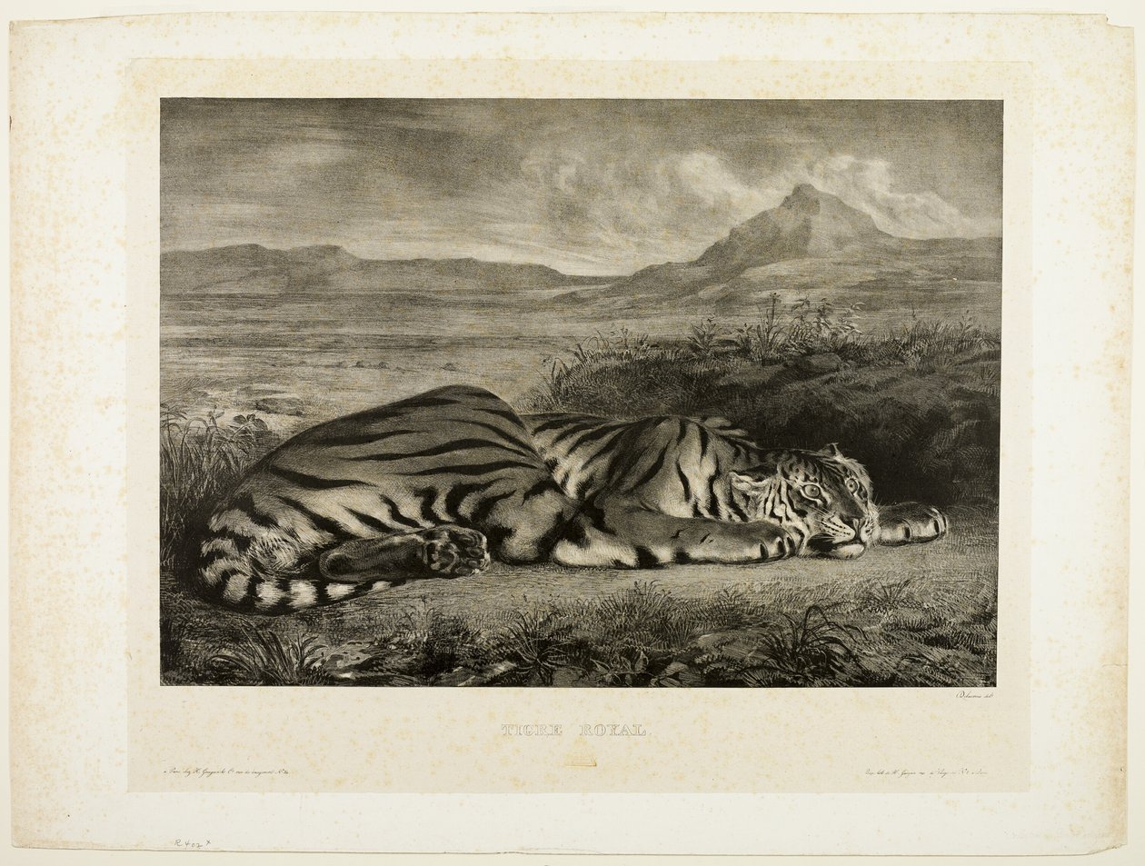 Bengalisk tiger av Eugène Delacroix