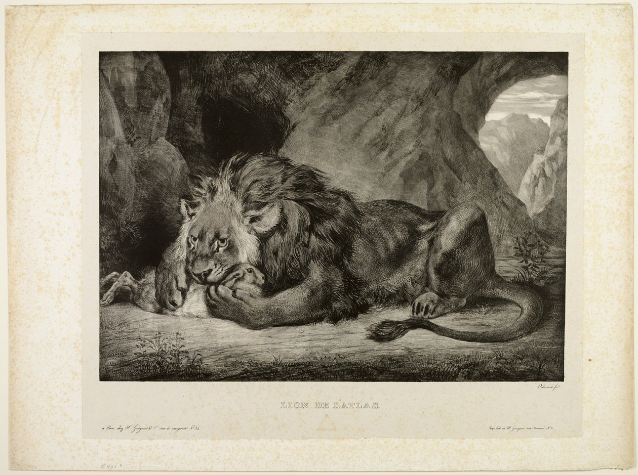 Lejon av Atlasbergen av Eugène Delacroix