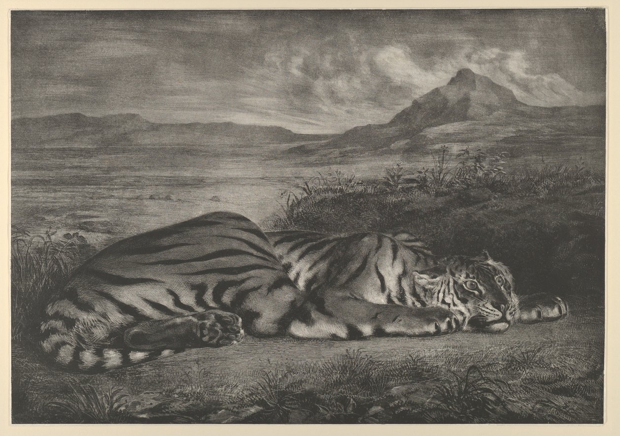 Royal Tiger, 1829., 1829. av Eugène Delacroix