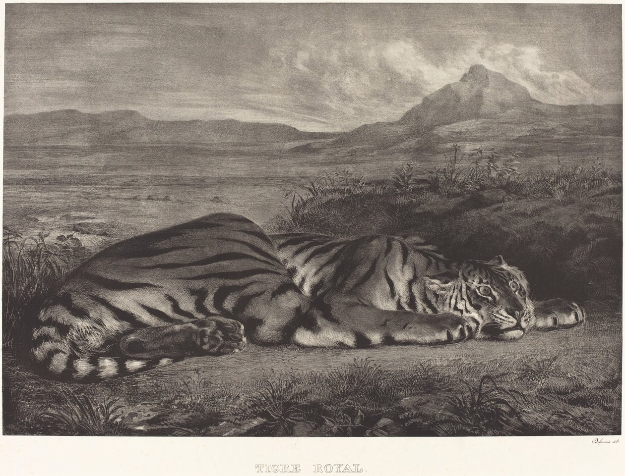 Royal Tiger Tigre Royal, 1829. av Eugène Delacroix
