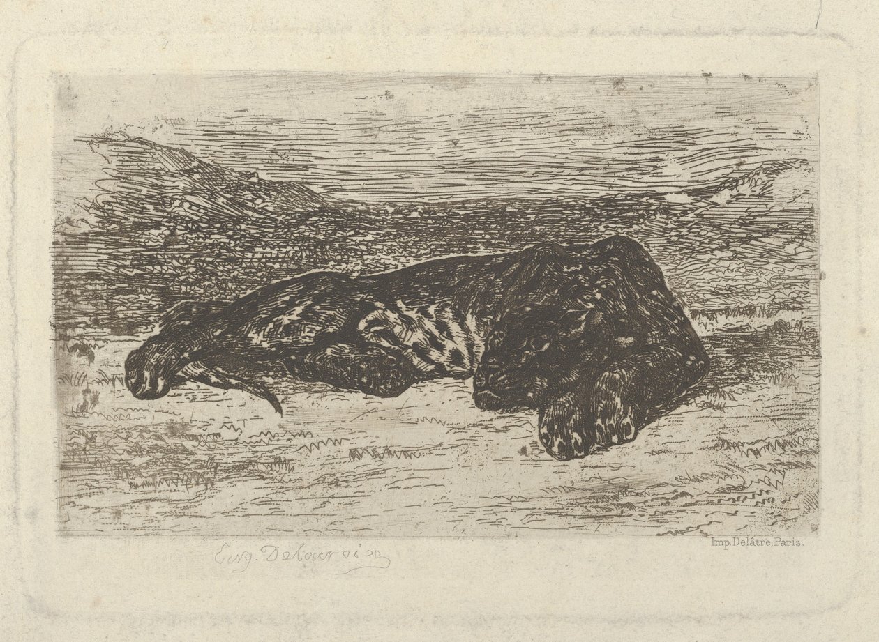 Tiger som ligger i öknen, 1846, 1846. av Eugène Delacroix