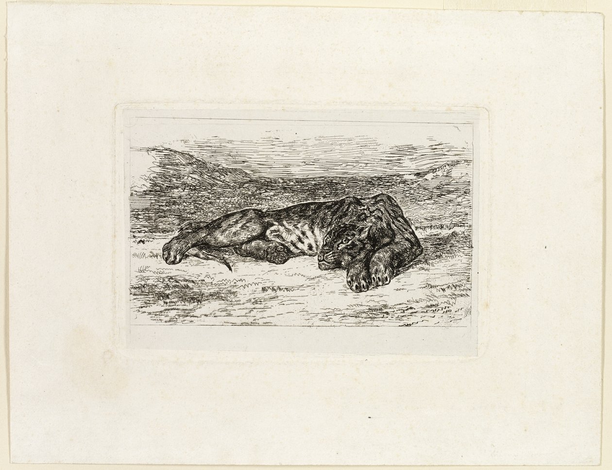 Tiger vilar i öknen av Eugène Delacroix