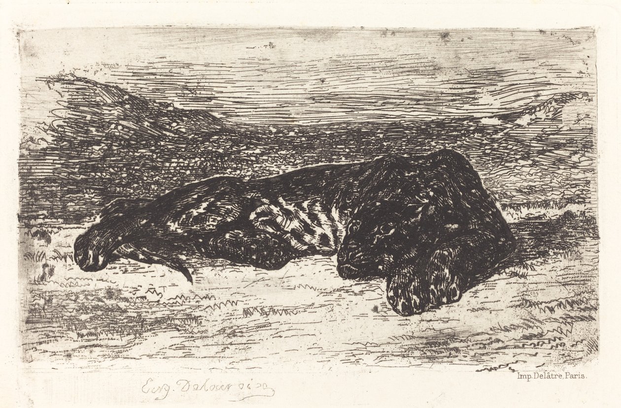 Tiger som sover i öknen, ca. 1830. av Eugène Delacroix