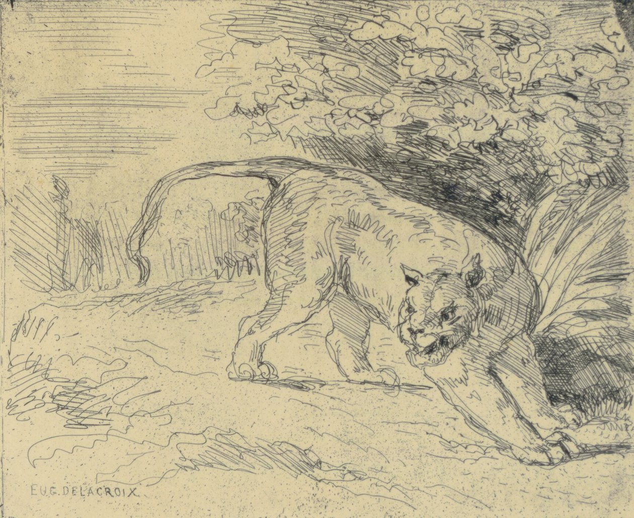 Tigre en Arrêt av Eugène Delacroix