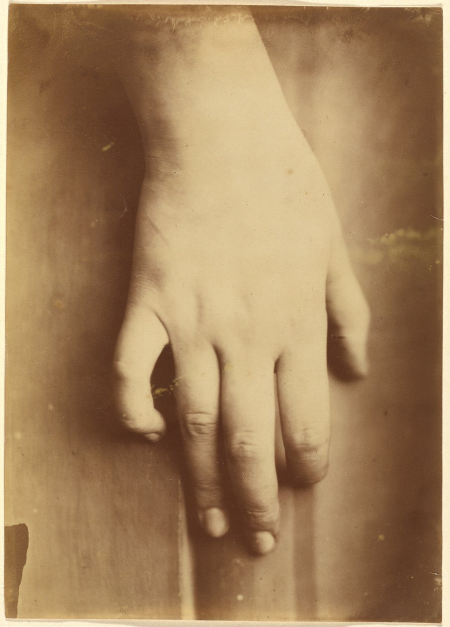 Studie av en hand av European 19th Century