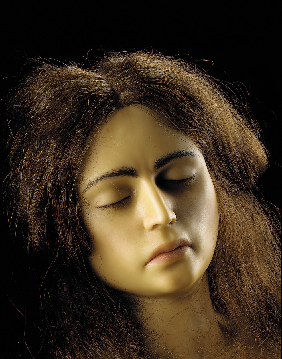 Anatomisk modell av en äggstocksgraviditet, detalj av European School