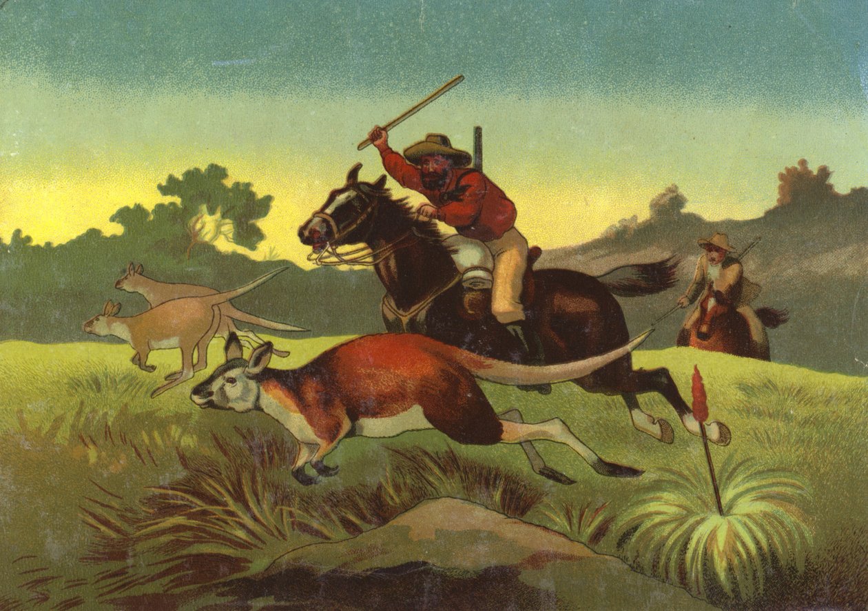 Jakt på kängurur (chromolitho) av European School