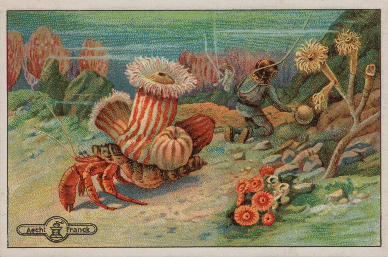 Scen på havsbotten (chromolitho) av European School