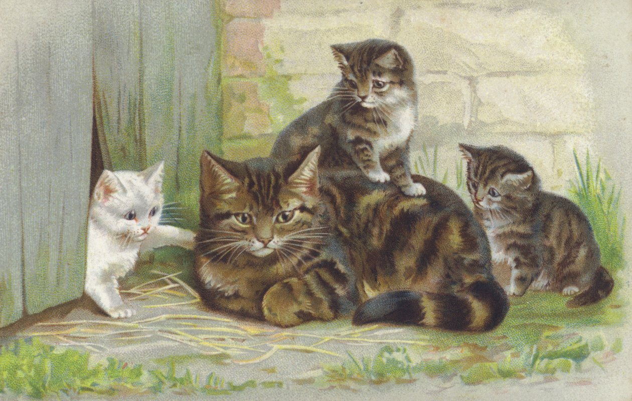 Tabbykatt med tre kattungar (chromolitho) av European School